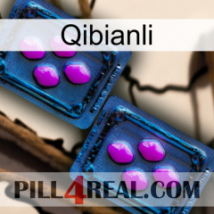 Qibianli 03